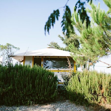 Camping Naturiste Riva Bella 4* Linguizzetta Esterno foto