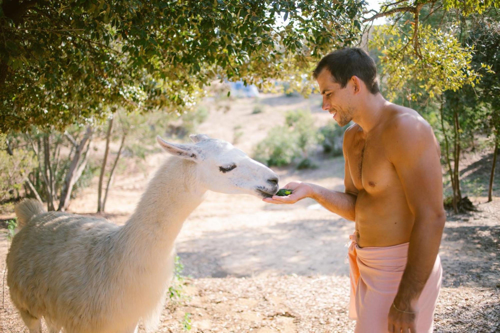 Camping Naturiste Riva Bella 4* Linguizzetta Esterno foto